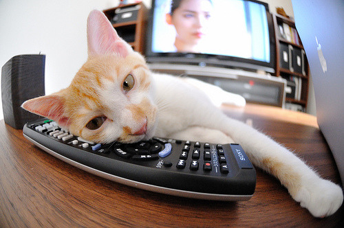 巴西血拼诺坎普，无名英雄凯塞多射落巴萨