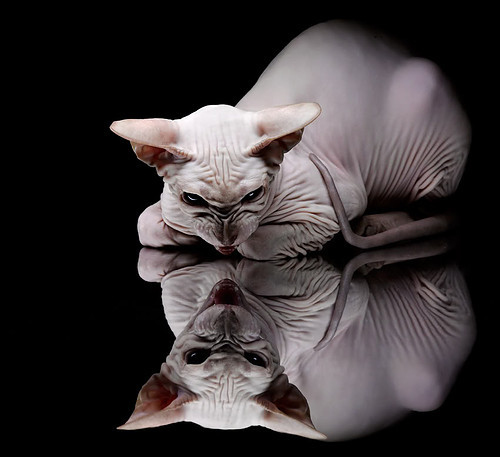 弱旅掀翻巨人，新星接管比赛，体育奇迹背后的永恒定律